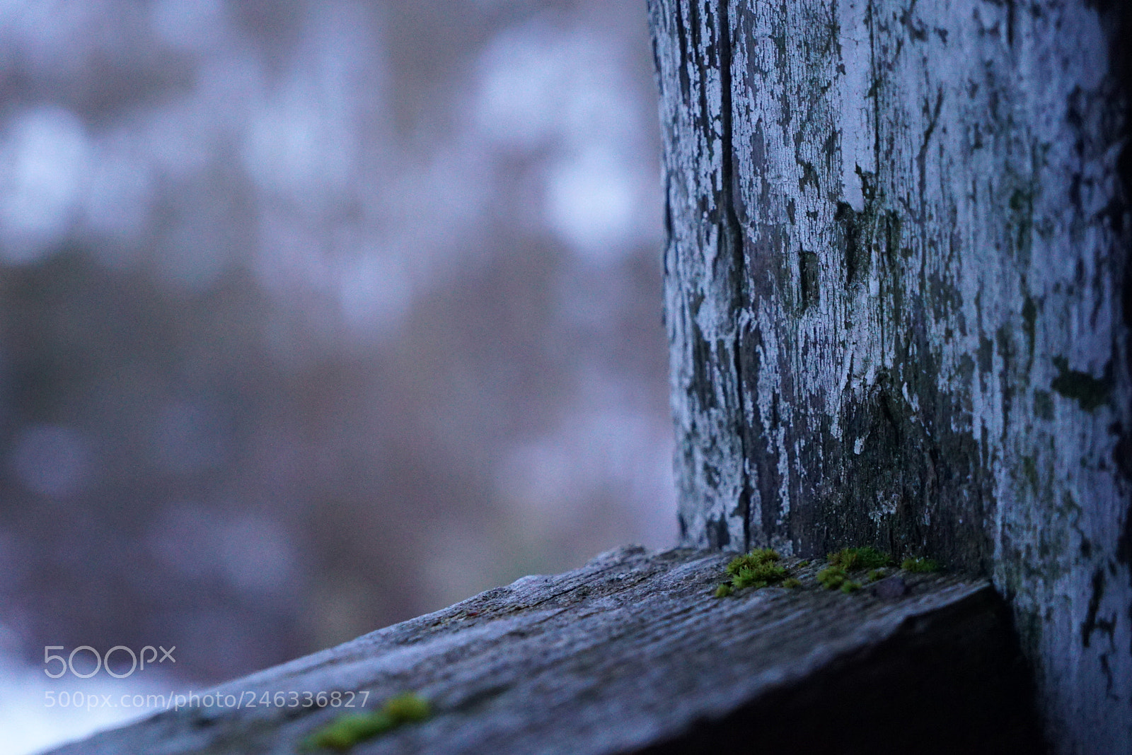Sony a7S sample photo. ? photography