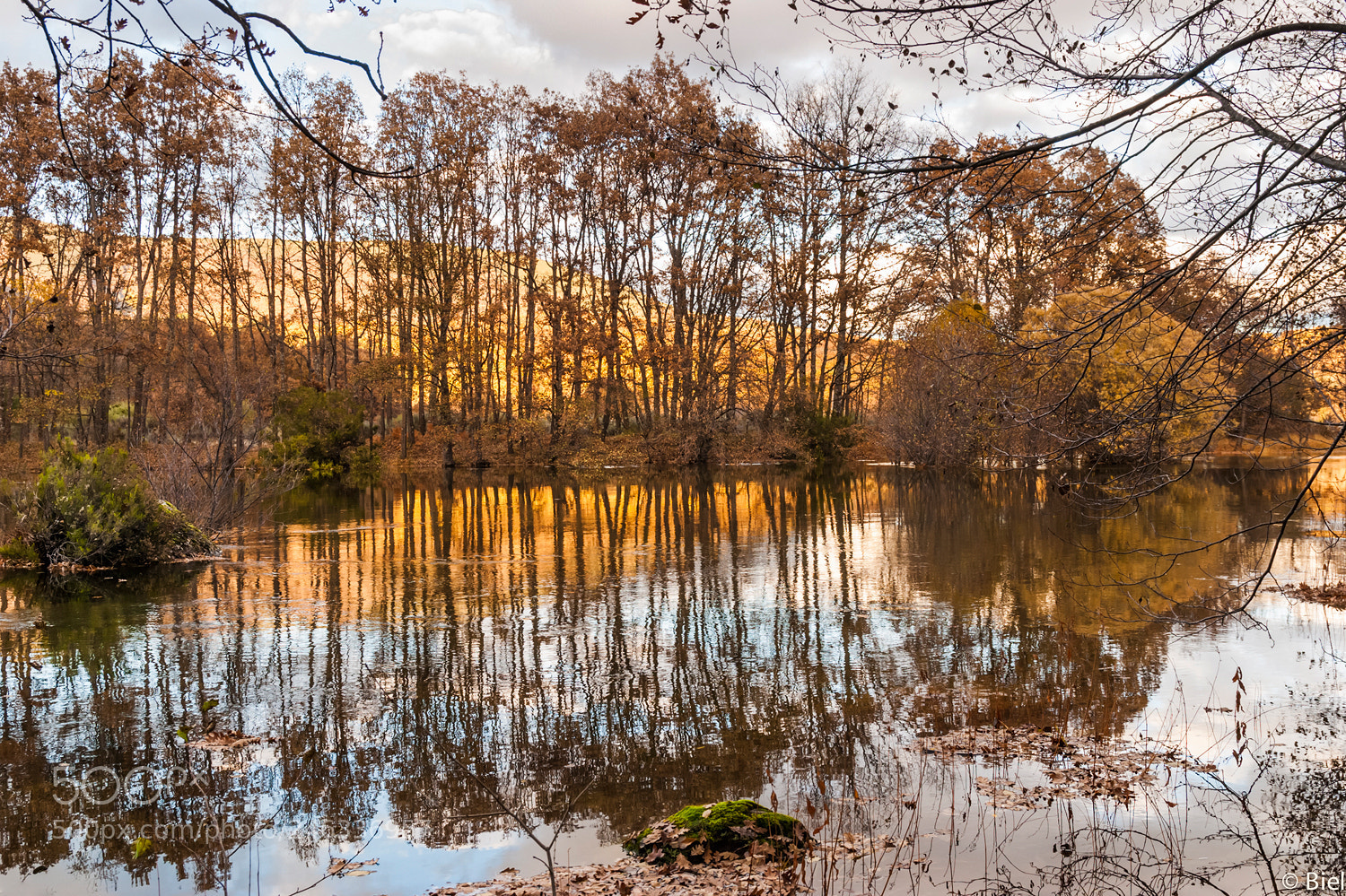 Nikon D80 sample photo. Autumn memories i photography