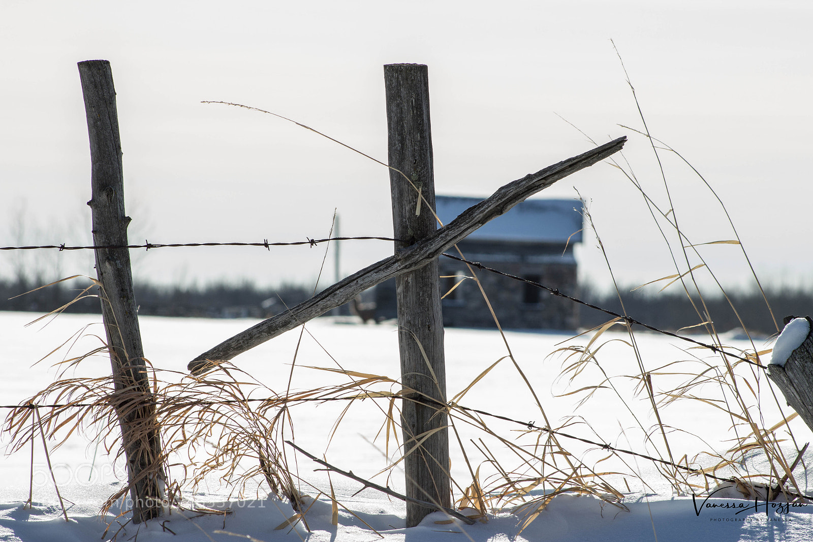 Canon EOS 700D (EOS Rebel T5i / EOS Kiss X7i) sample photo. February 2018 photography