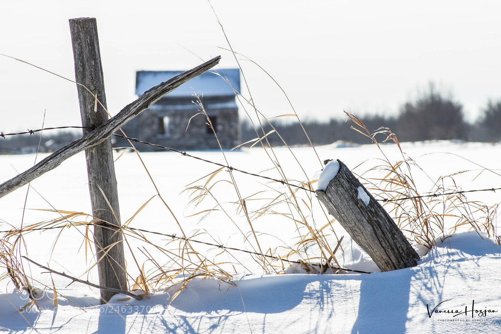 Canon EOS 700D (EOS Rebel T5i / EOS Kiss X7i) sample photo. February 2018 photography