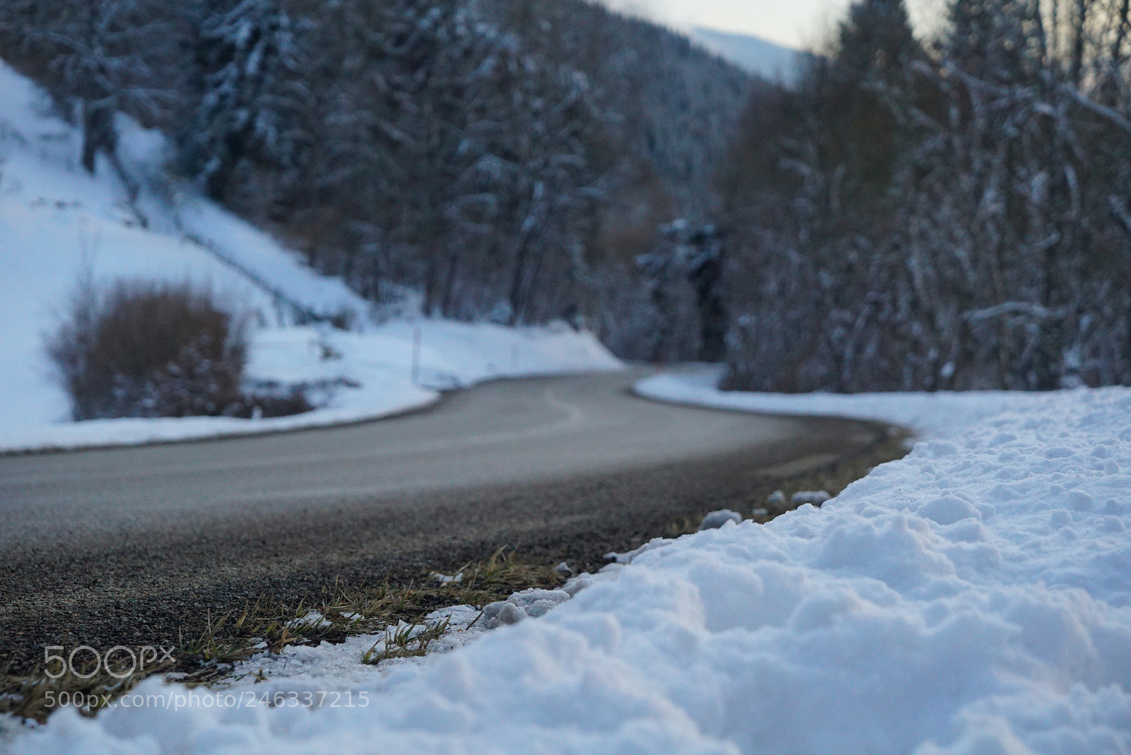 Sony a7S sample photo. Untitled photography