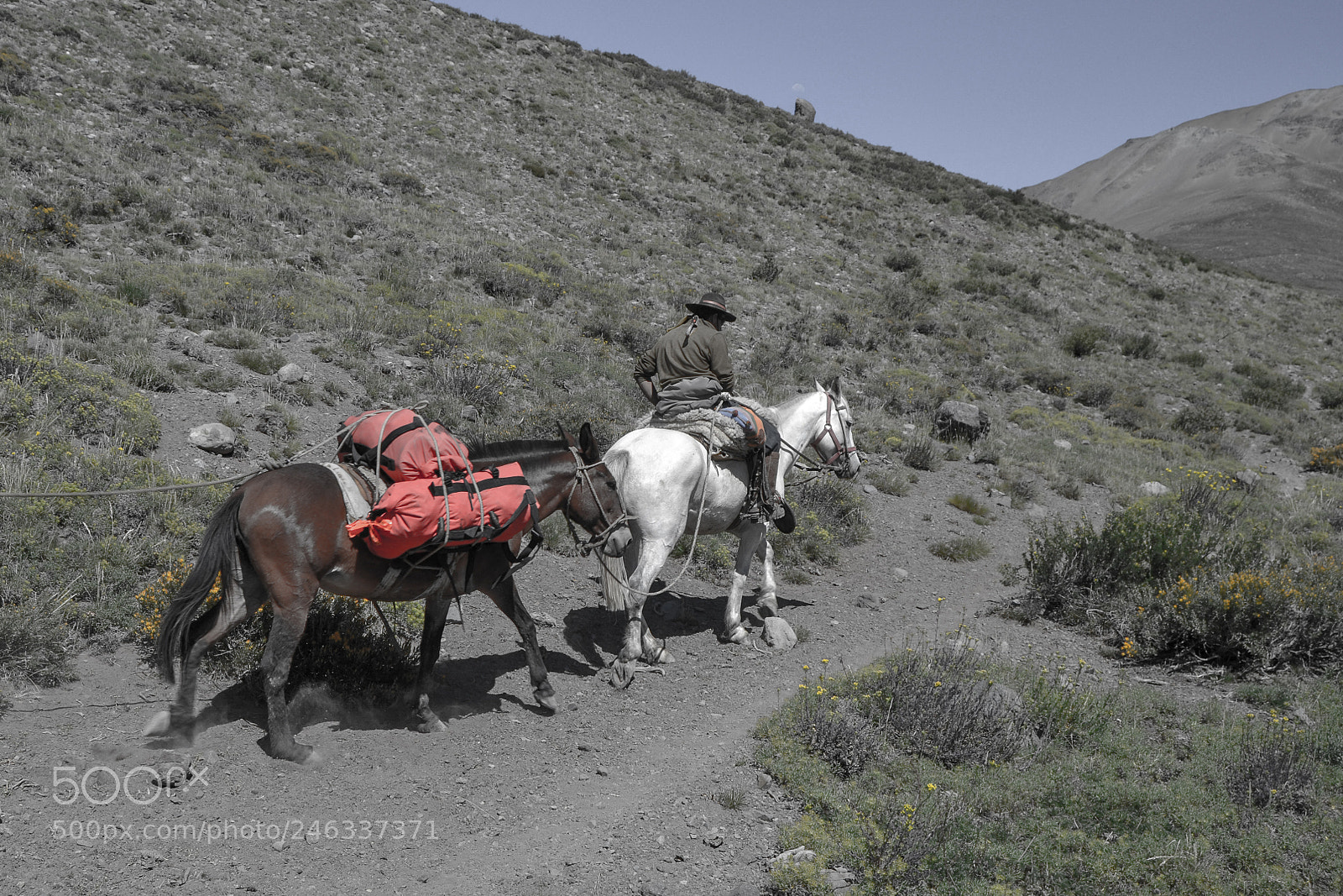 Nikon D3100 sample photo. Trekking al avi n photography