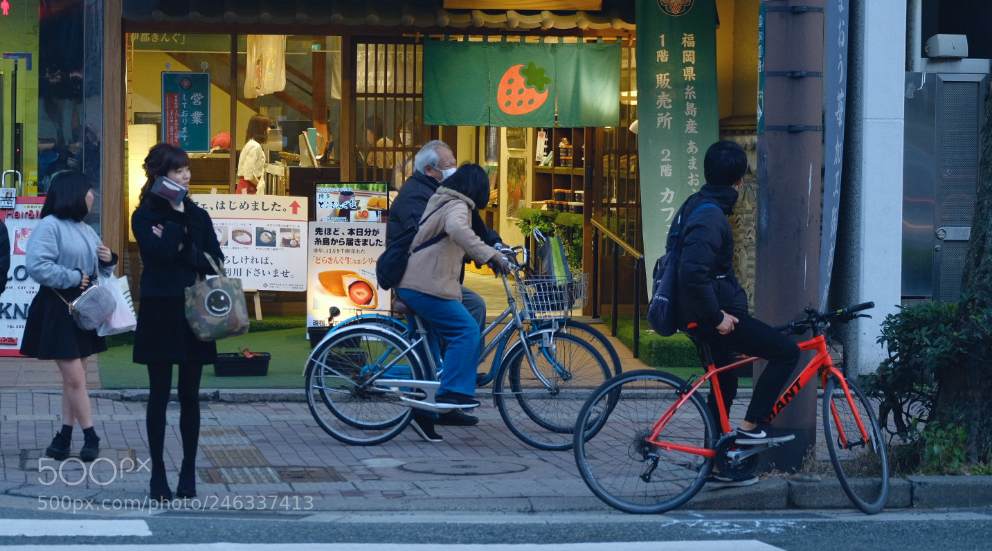 Fujifilm X-T2 sample photo. Untitled photography