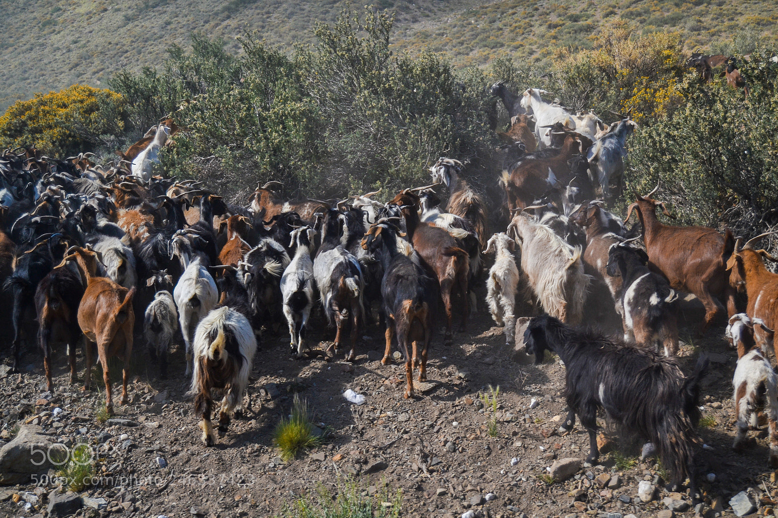 Nikon D3100 sample photo. Trekking al avi n photography