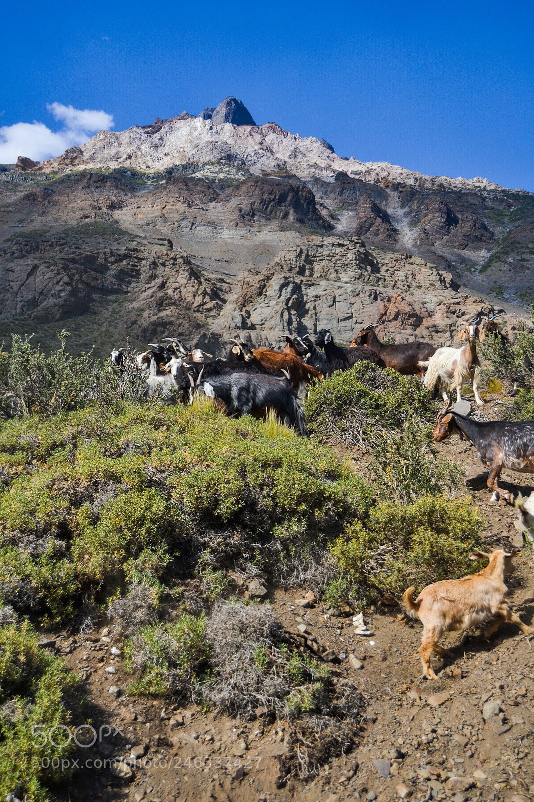 Nikon D3100 sample photo. Trekking al avi n photography