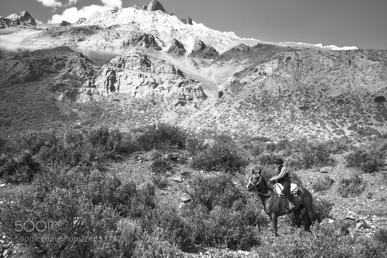 Nikon D3100 sample photo. Trekking al avi n photography