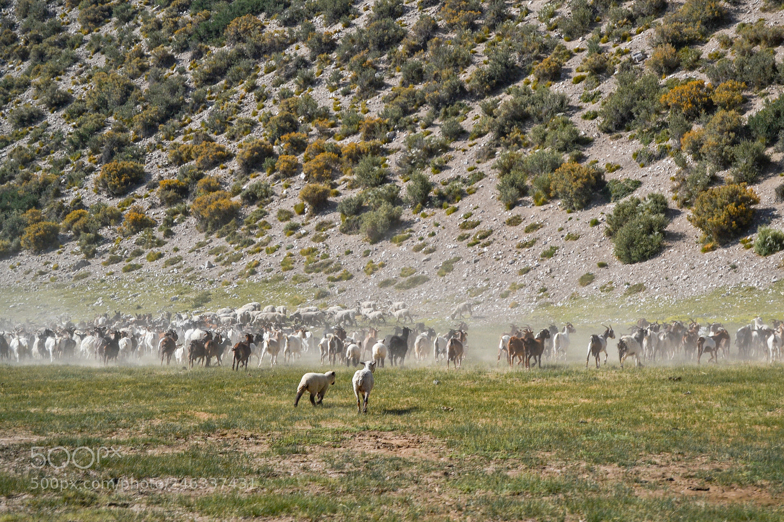 Nikon D3100 sample photo. Trekking al avi n photography