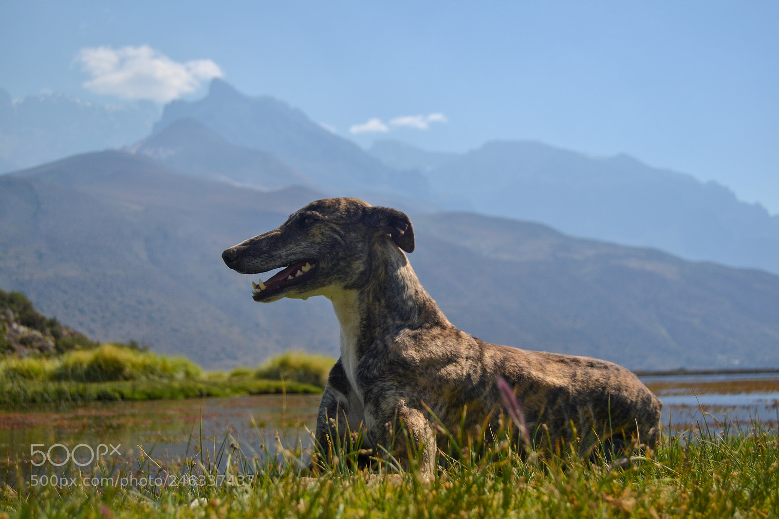Nikon D3100 sample photo. Trekking al avi n photography