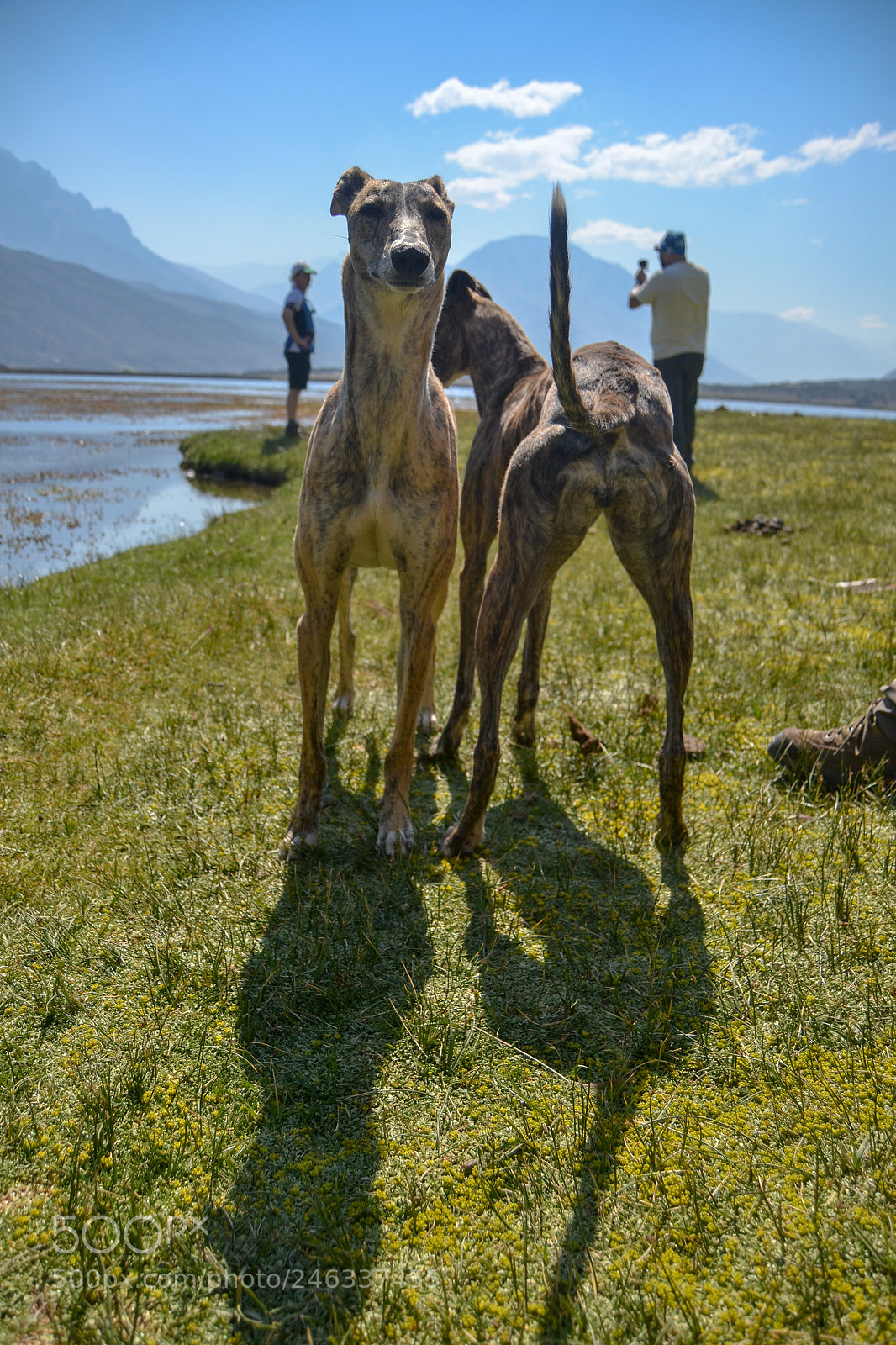 Nikon D3100 sample photo. Trekking al avi n photography