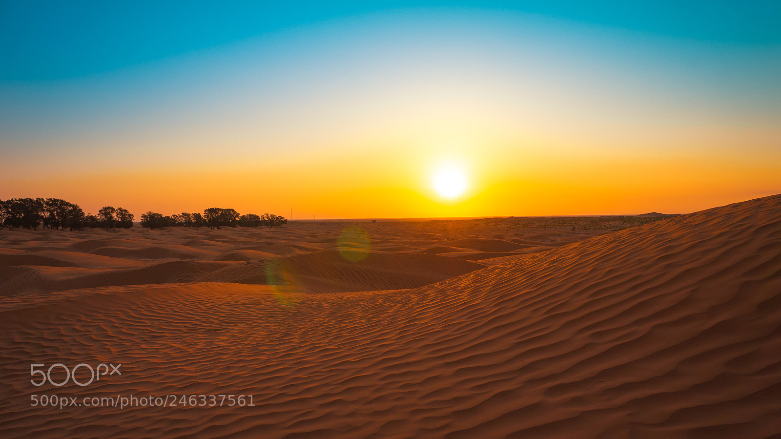 Sony Alpha NEX-5N sample photo. Sunrise in the middle photography