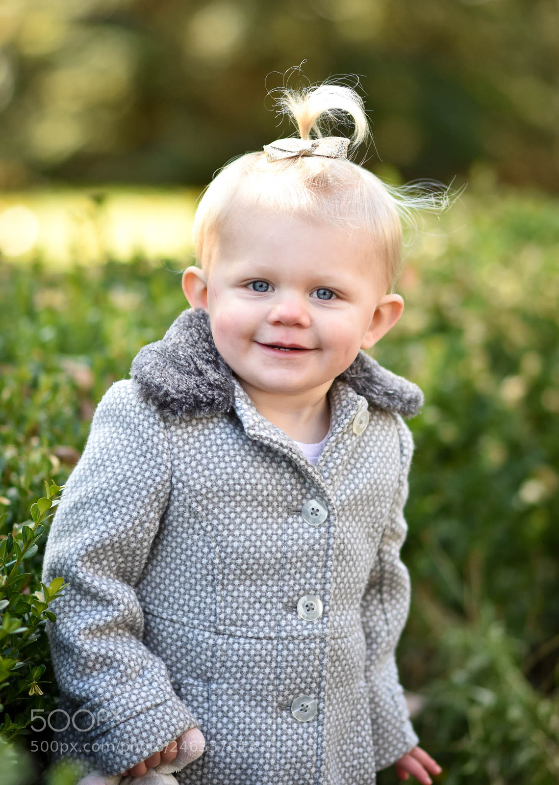 Nikon D5500 sample photo. Untitled photography