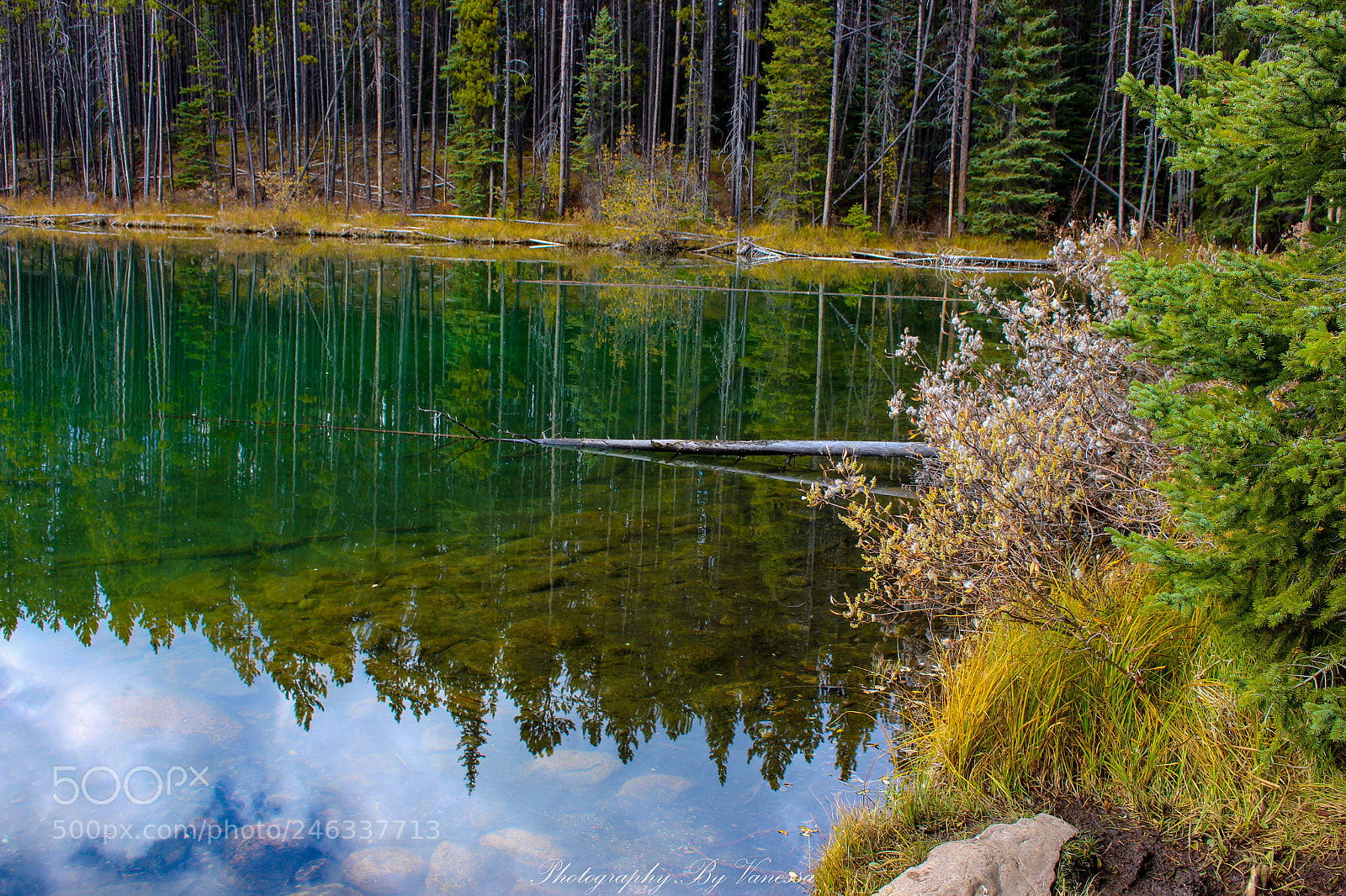 Canon EOS 700D (EOS Rebel T5i / EOS Kiss X7i) sample photo. Banff national park photography