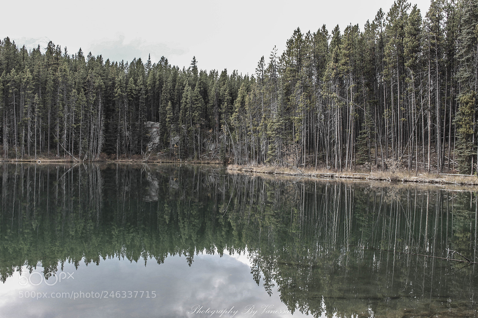 Canon EOS 700D (EOS Rebel T5i / EOS Kiss X7i) sample photo. Banff national park photography