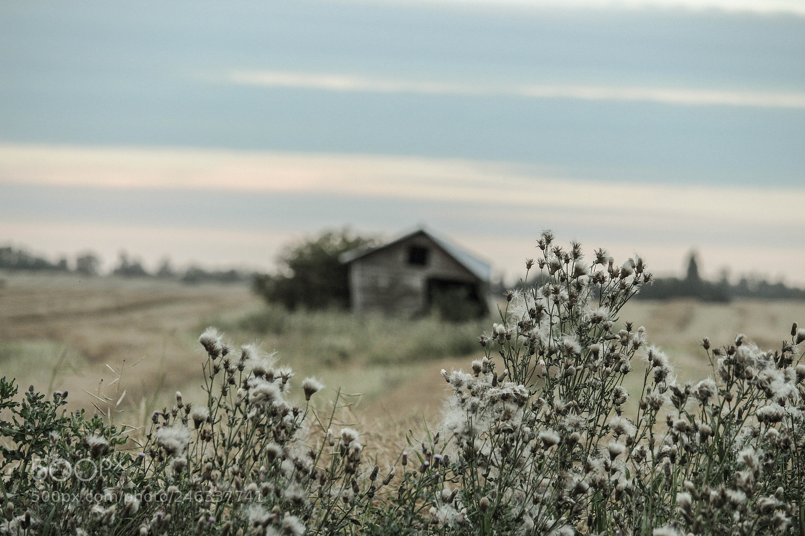 Canon EOS 700D (EOS Rebel T5i / EOS Kiss X7i) sample photo. North of edmonton photography
