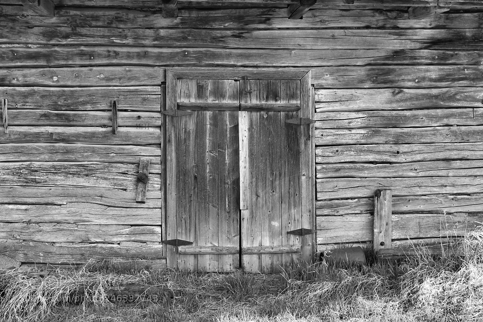 Canon EOS 700D (EOS Rebel T5i / EOS Kiss X7i) sample photo. North of edmonton photography