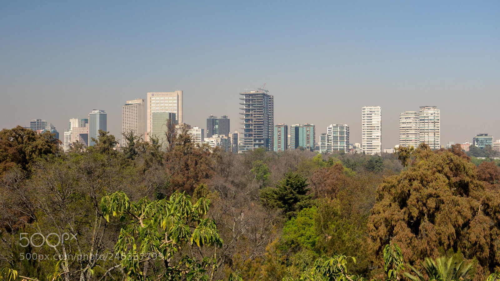 Olympus OM-D E-M10 sample photo. Non-dare buildings photography
