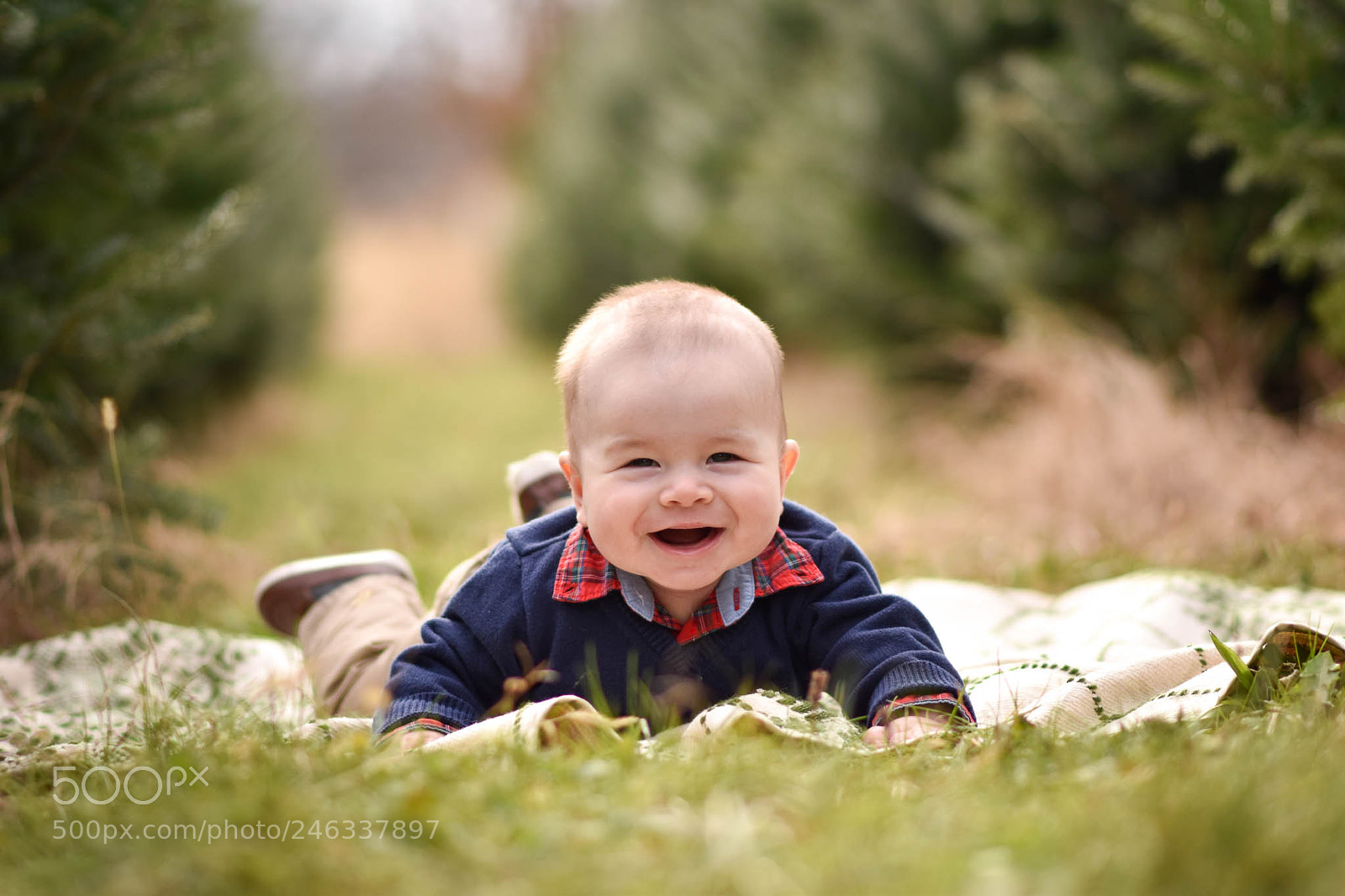 Nikon D5500 sample photo. Untitled photography