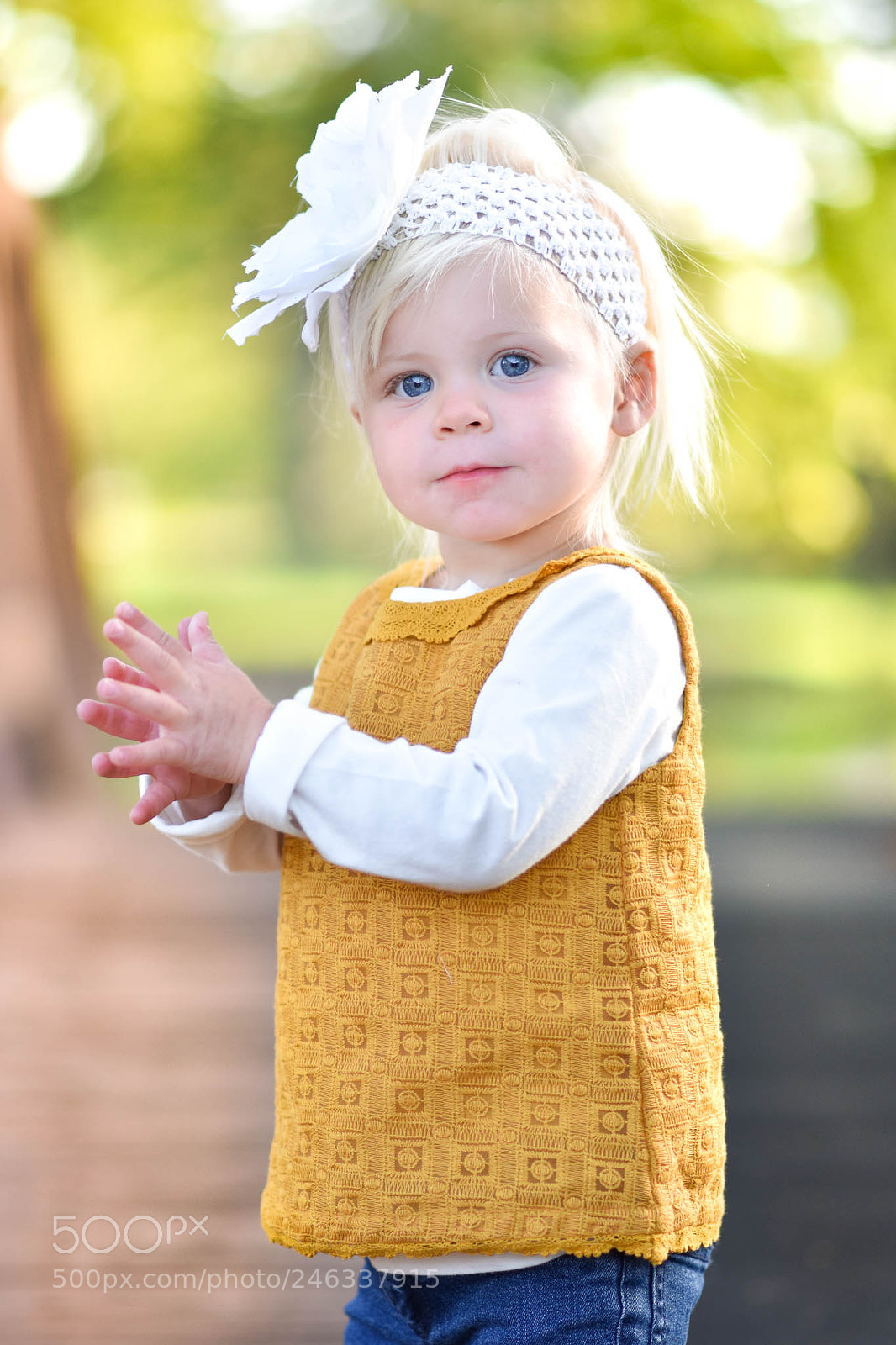 Nikon D5500 sample photo. Untitled photography