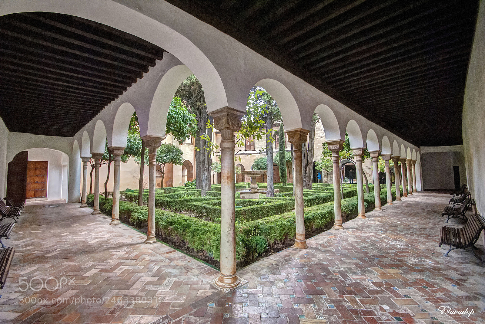 Nikon D3000 sample photo. La alhambra photography