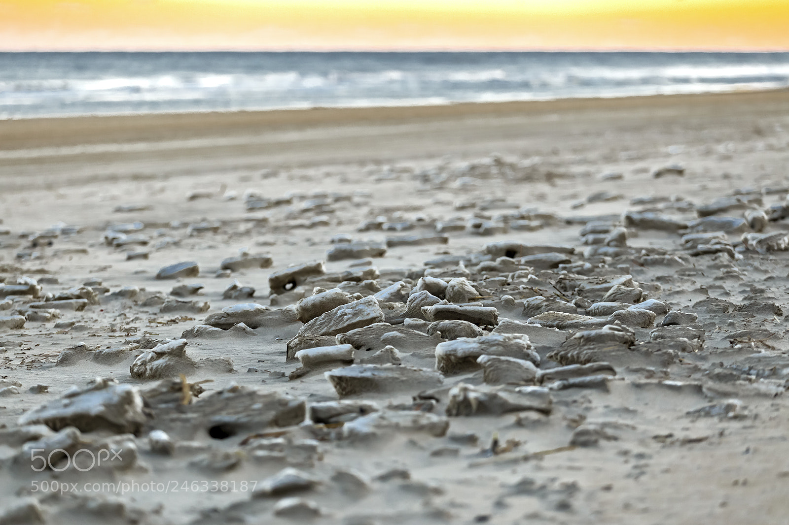 Canon EOS 6D sample photo. Obx photos project photography