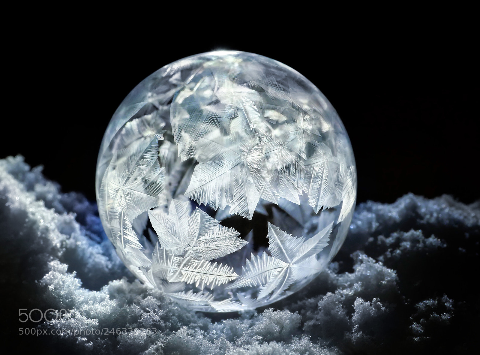 Panasonic Lumix DC-GX9 sample photo. Frozen magic initial impressions photography