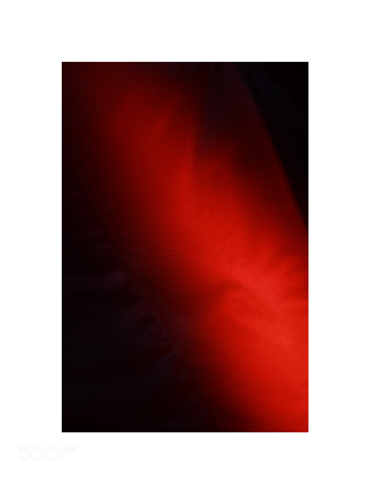 Nikon D7500 sample photo. A red poem photography