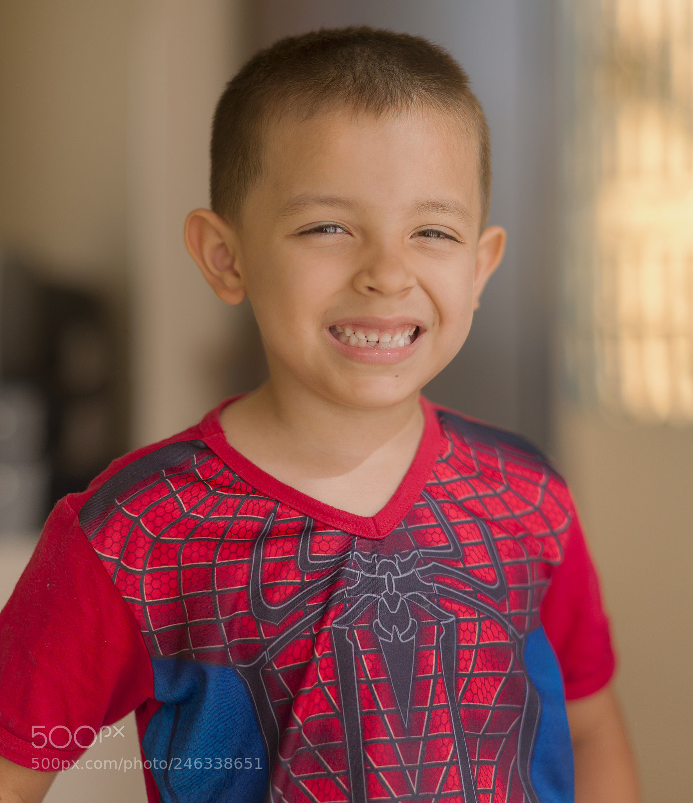 Nikon D90 sample photo. Spidy photography