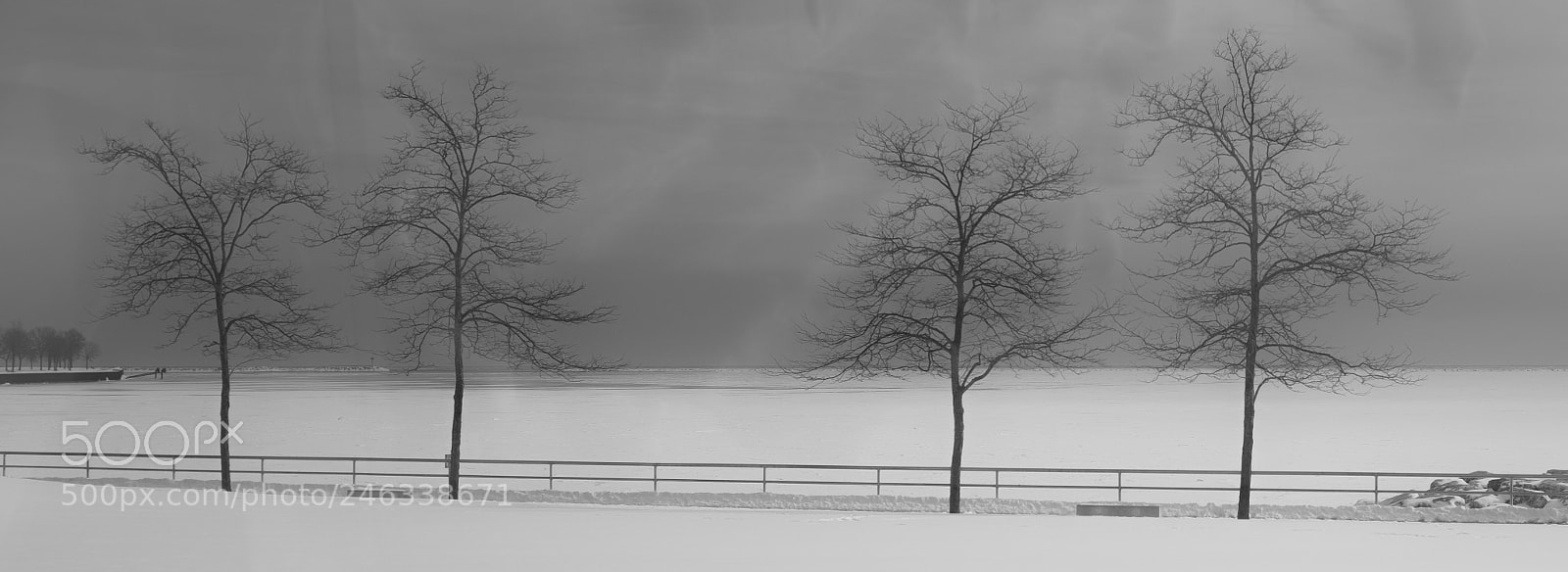 Fujifilm X100F sample photo. Milwaukee art museum 2018 photography