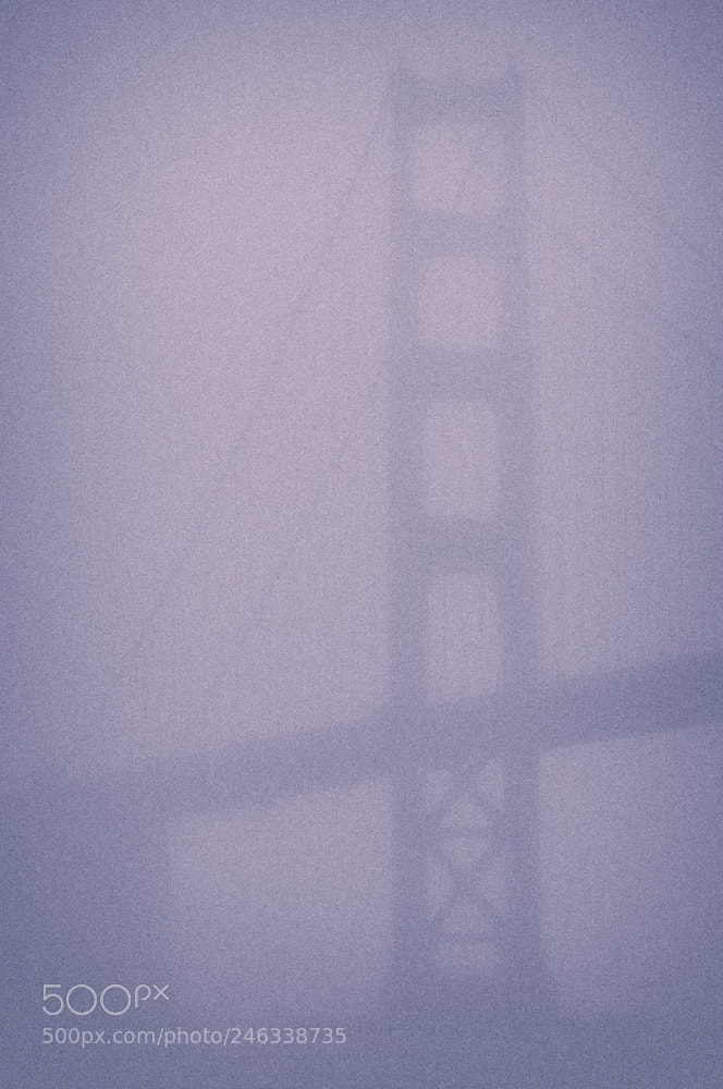Nikon D300 sample photo. Golden gate bridge photography
