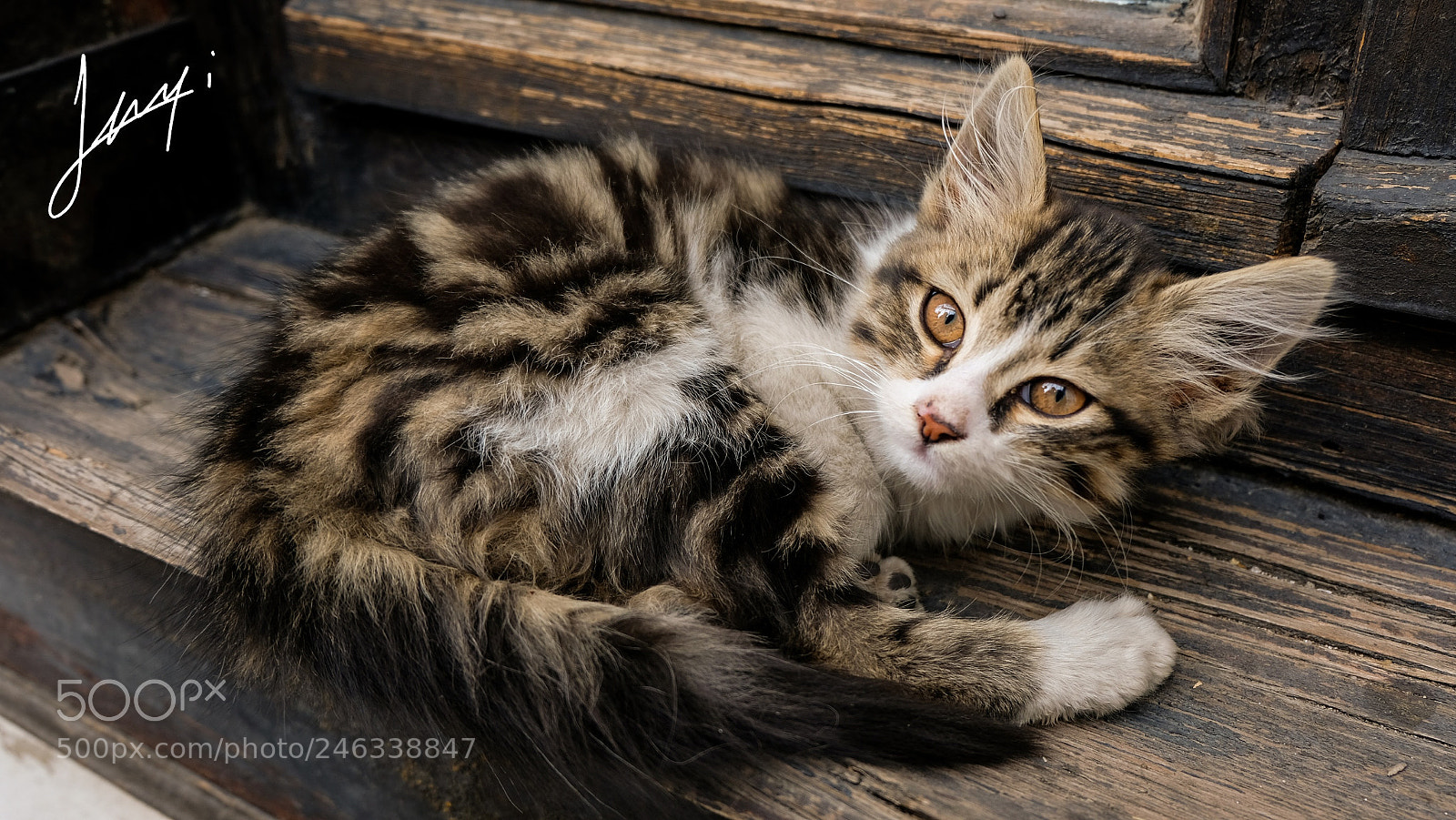 Fujifilm X-T20 sample photo. Untitled photography