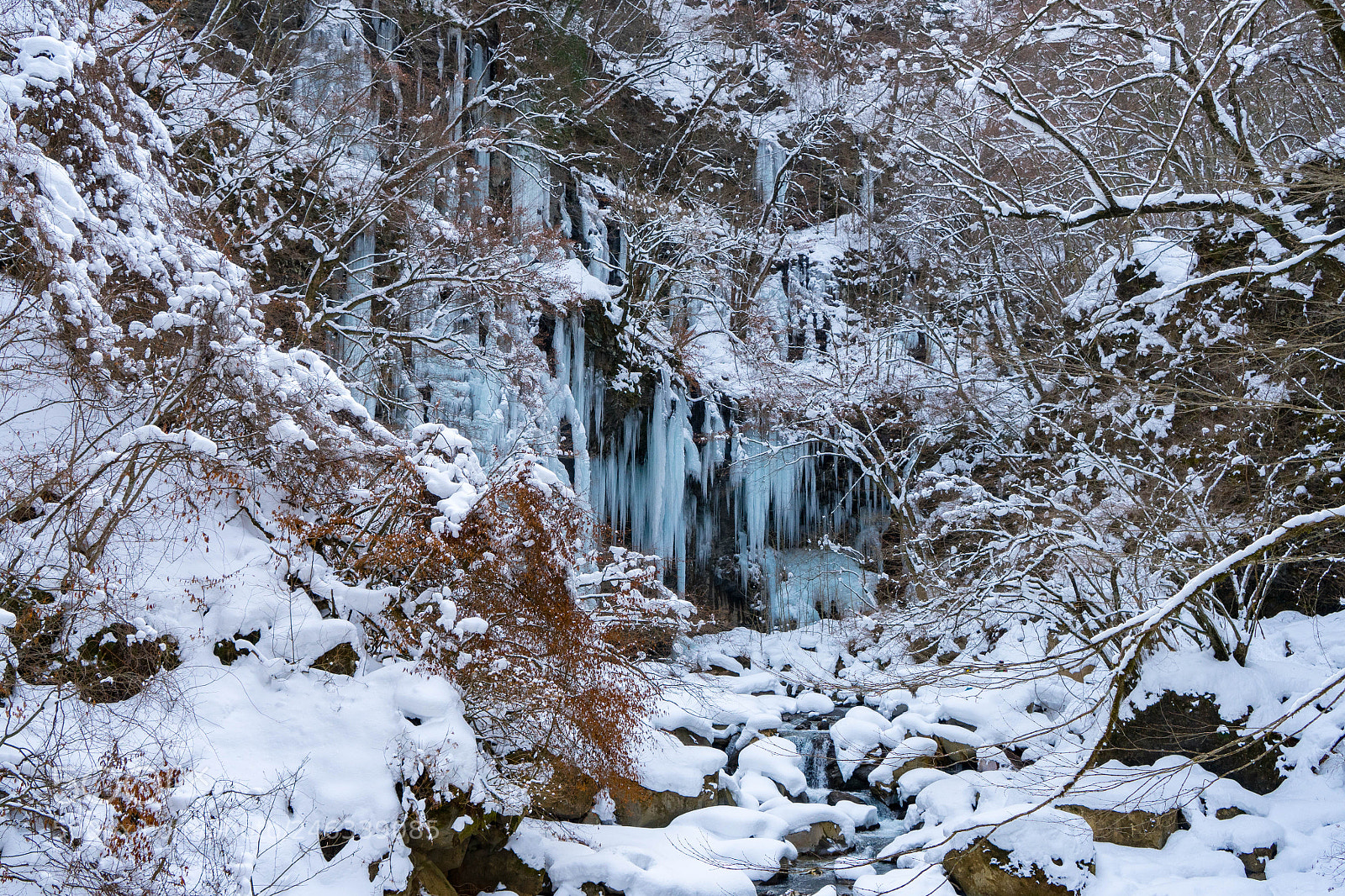 Sony a7 II sample photo. Winter valley photography