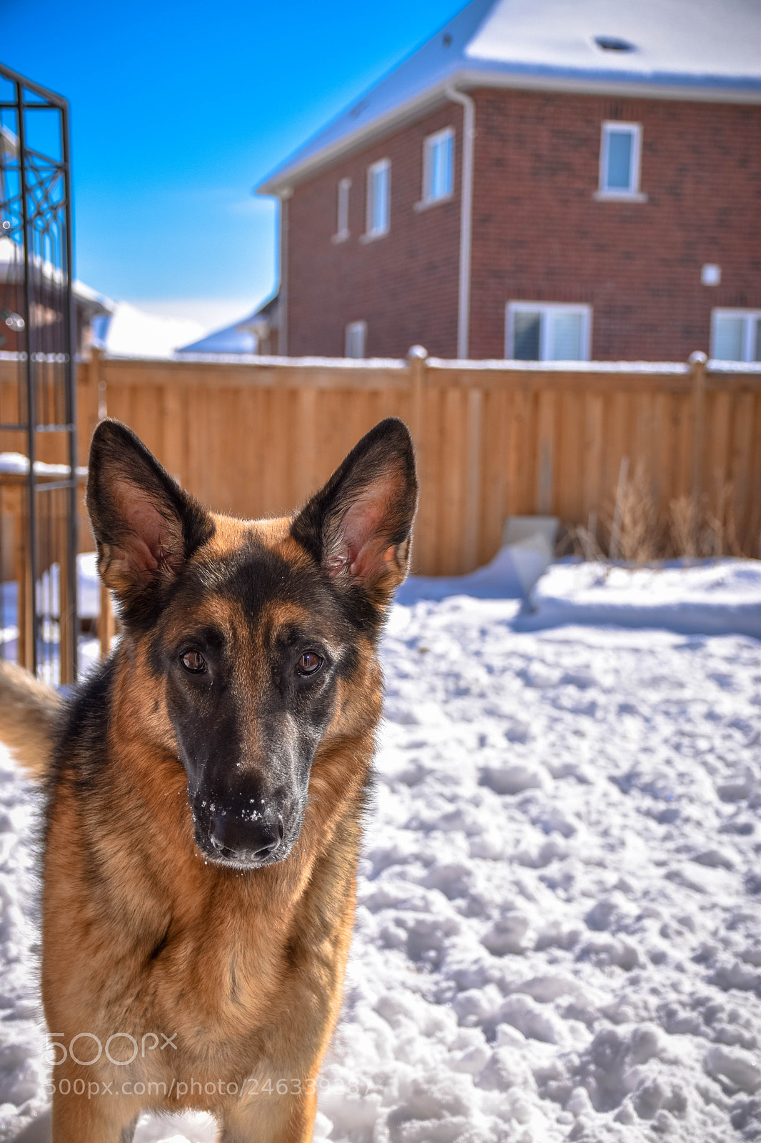 Nikon D5600 sample photo. Untitled photography