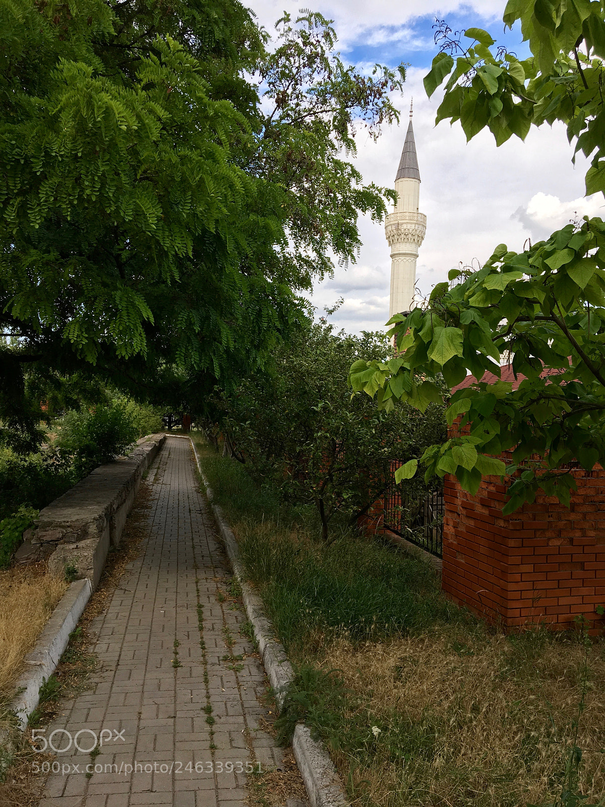 Apple iPhone 6s sample photo. The path photography