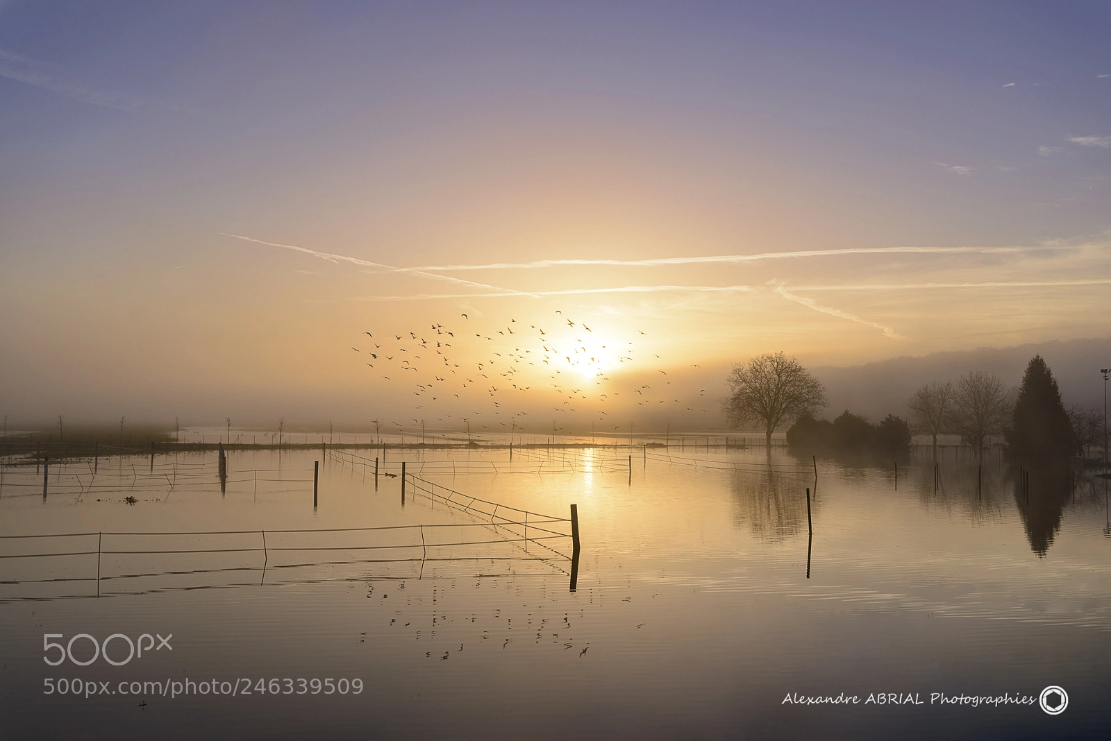 Nikon D800 sample photo. The nature at morning photography