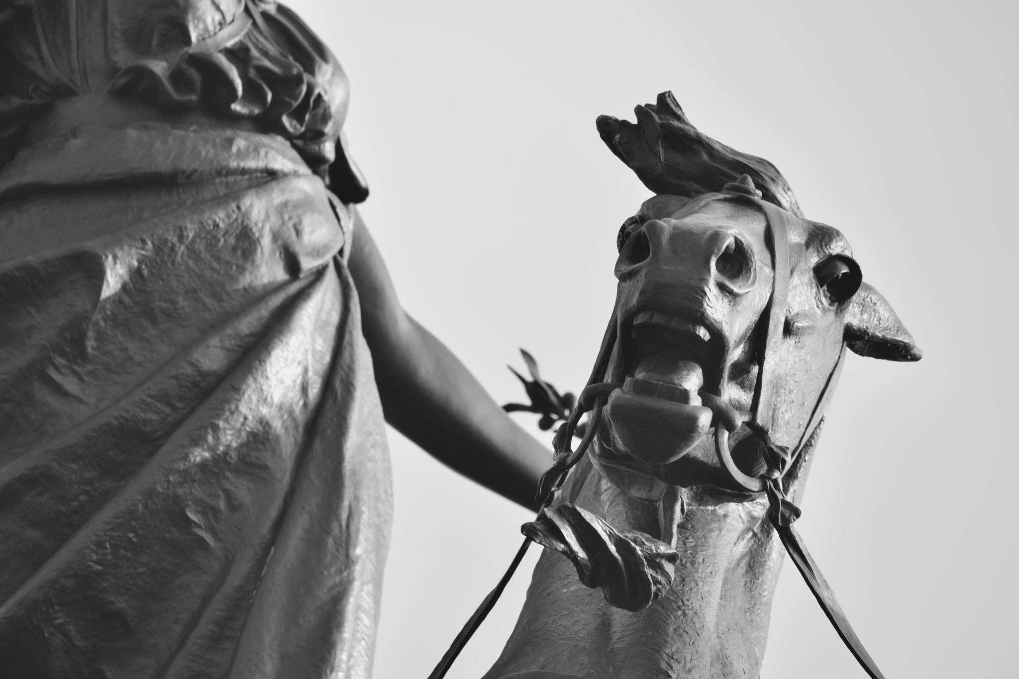 Sigma 150-600mm F5-6.3 DG OS HSM | C sample photo. Quadriga horse photography
