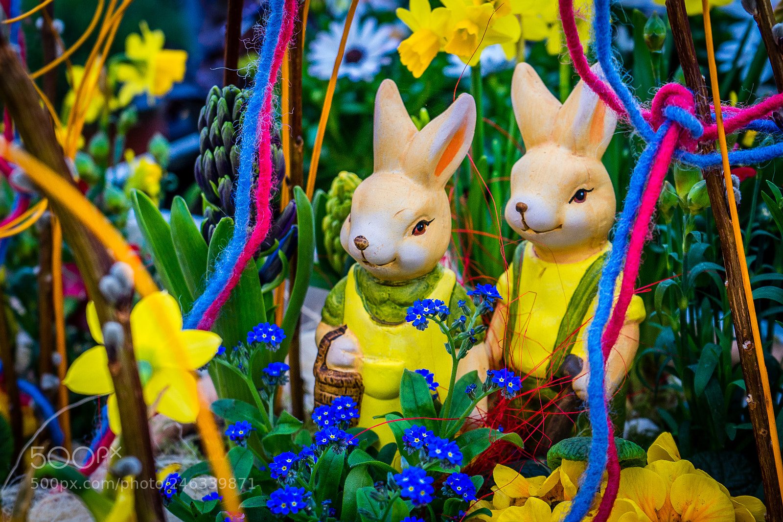 Sony a7 II sample photo. Easter bunny photography