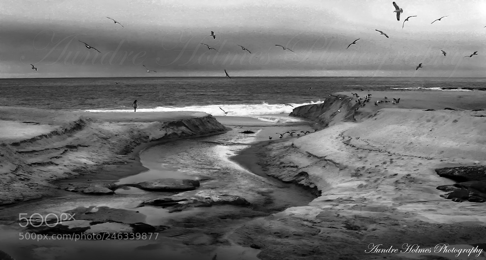 Canon EOS 20D sample photo. Aliso creek haze photography