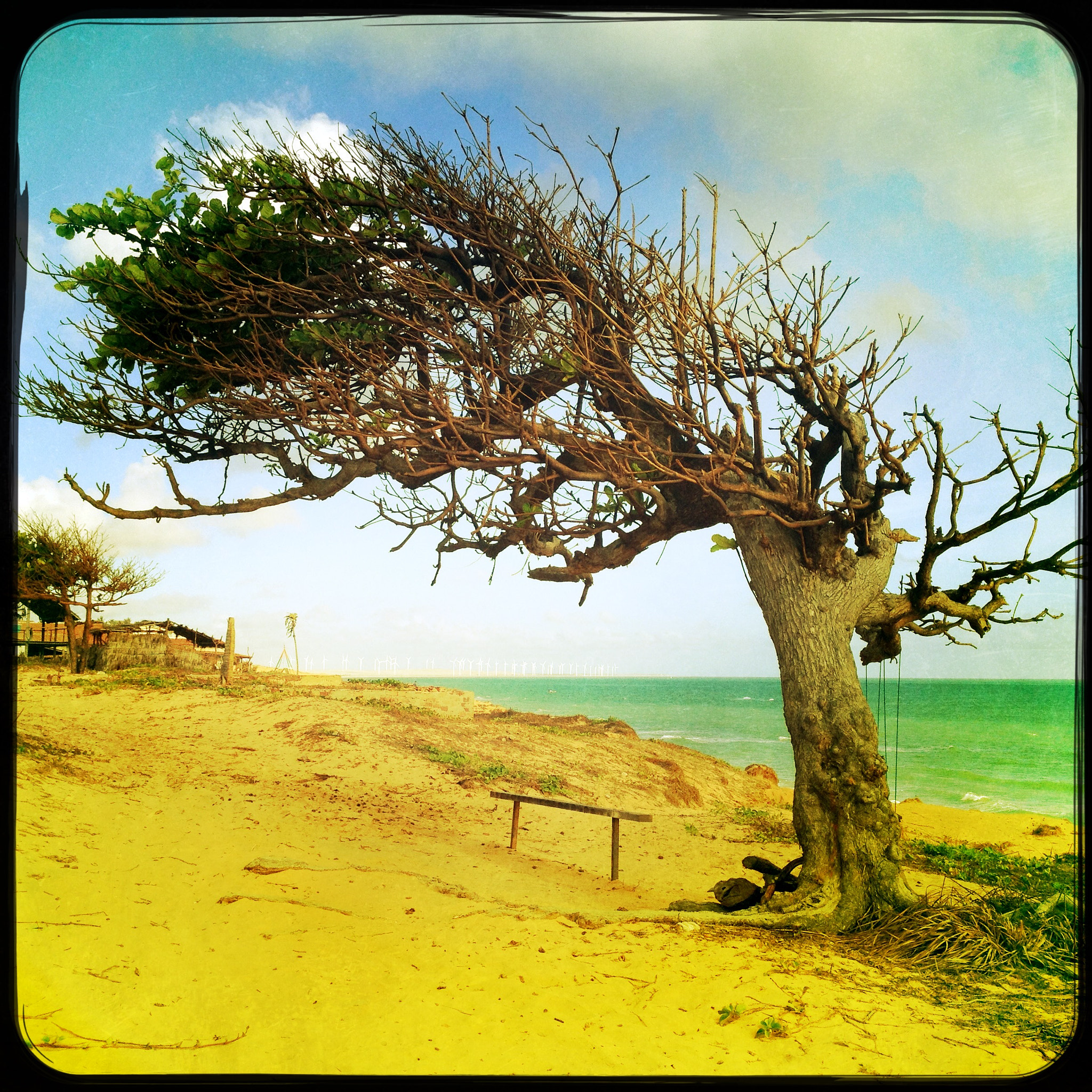 Hipstamatic 322 sample photo. Hipstamatic vision 02 photography