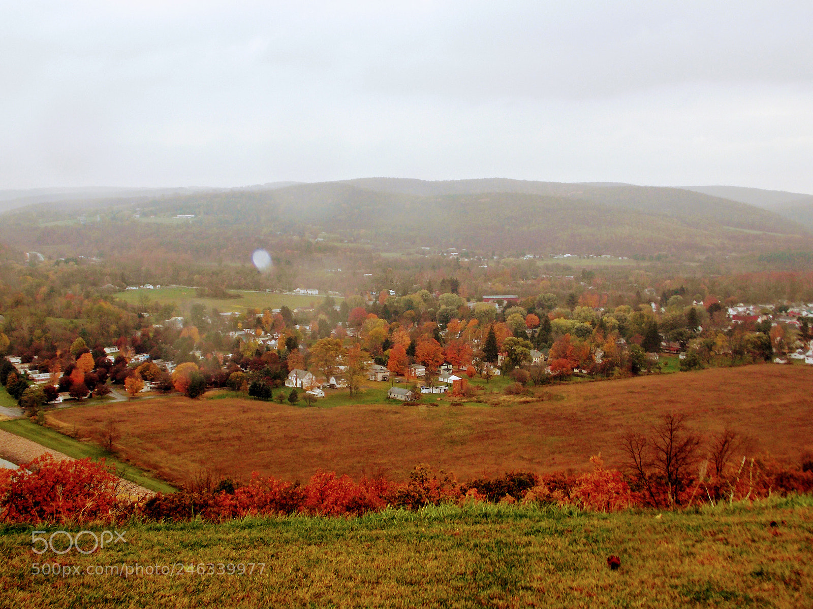 Nikon Coolpix L810 sample photo. Fall in pennsylvania photography