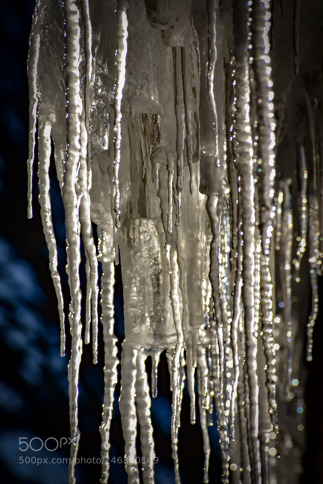 Nikon D3400 sample photo. Icy mass photography