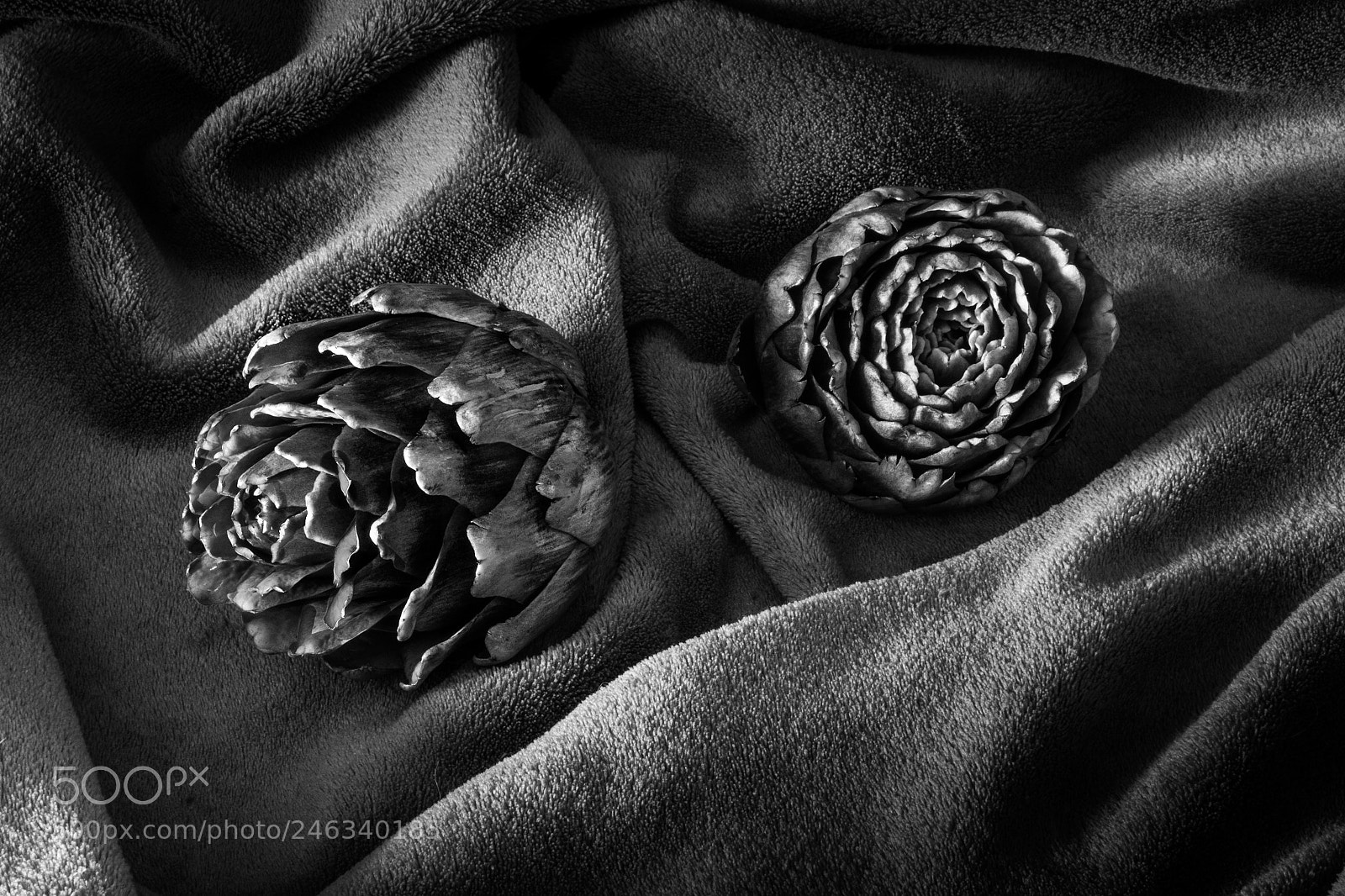 Sony a7R sample photo. Carciofi photography