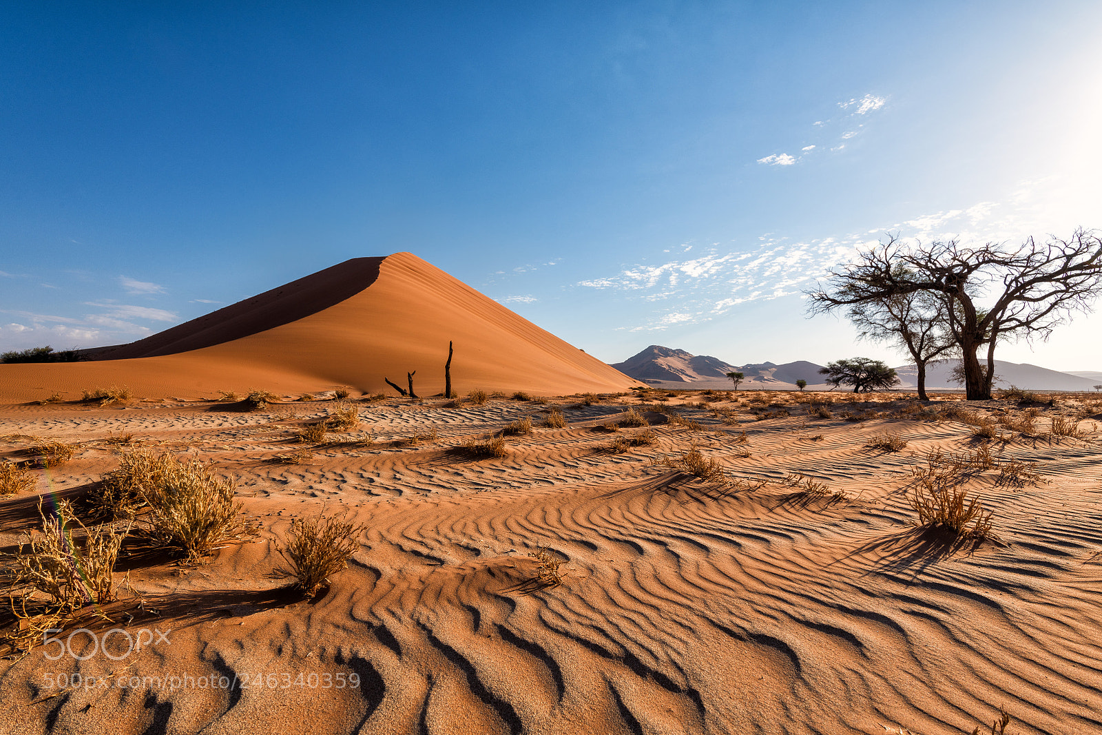 Nikon D850 sample photo. Sand dunes, namibia photography