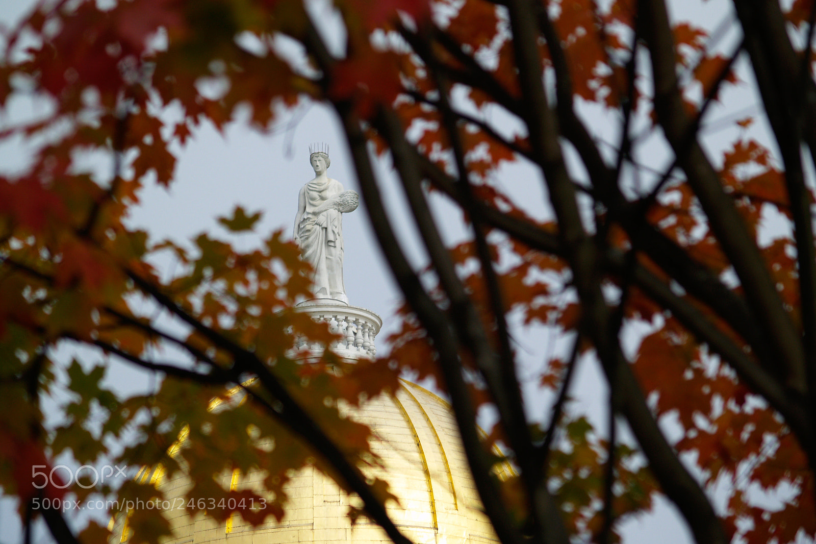 Olympus E-500 (EVOLT E-500) sample photo. Standing tall photography