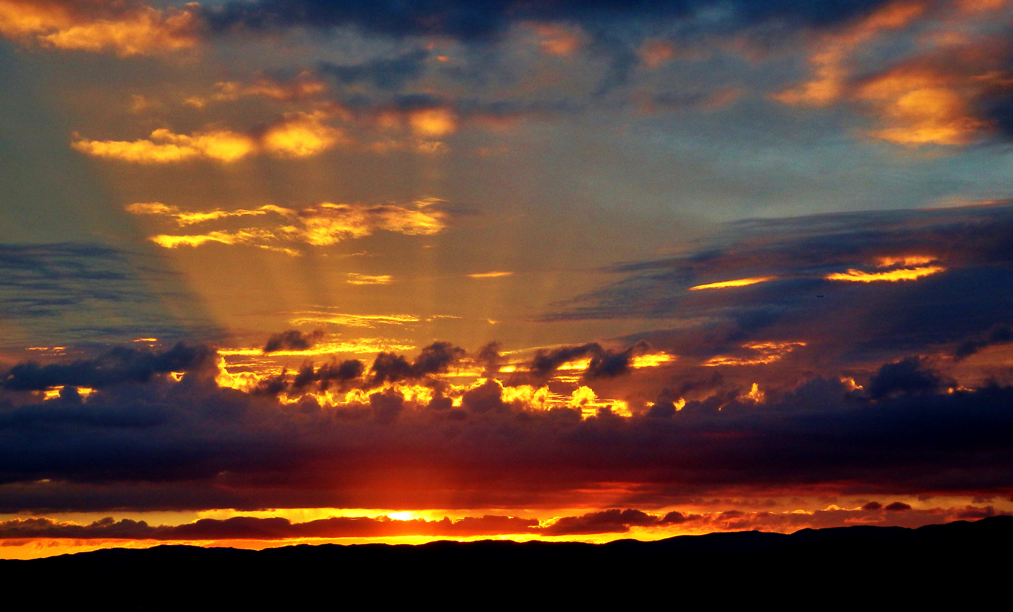 Olympus SZ-30MR sample photo. Wellington sunrise photography