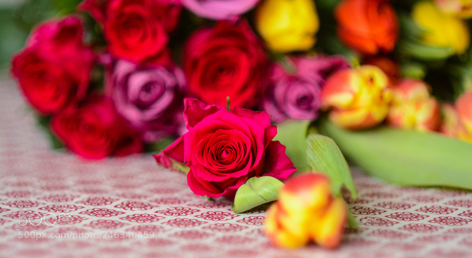 Nikon D7100 sample photo. Untitled photography