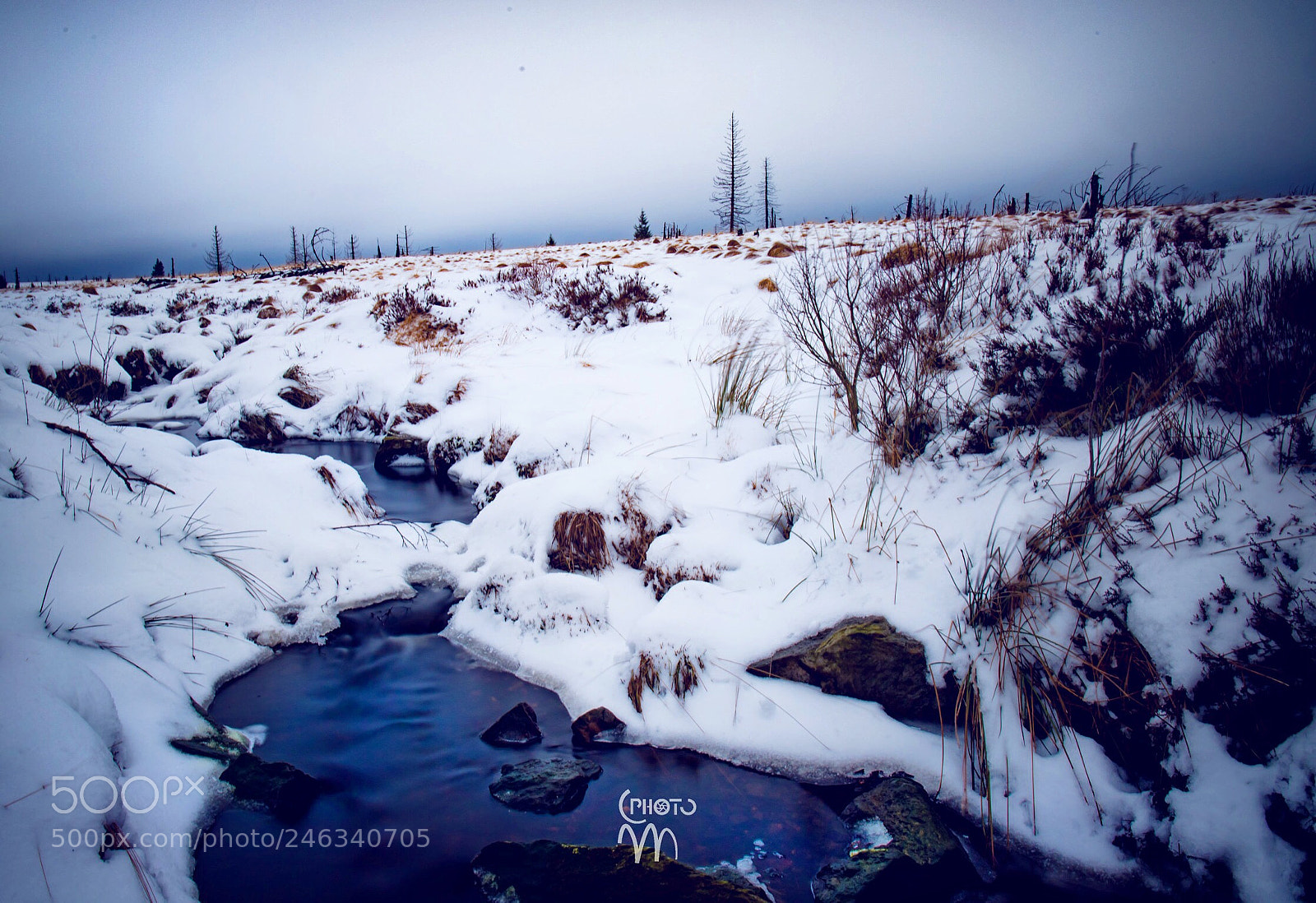 Canon EOS 6D Mark II sample photo. Fagnes. photography