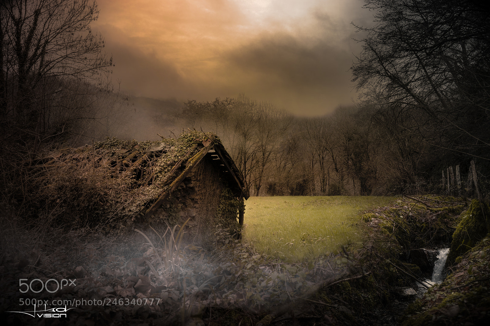 Sony a7R II sample photo. Hidden realm ... photography