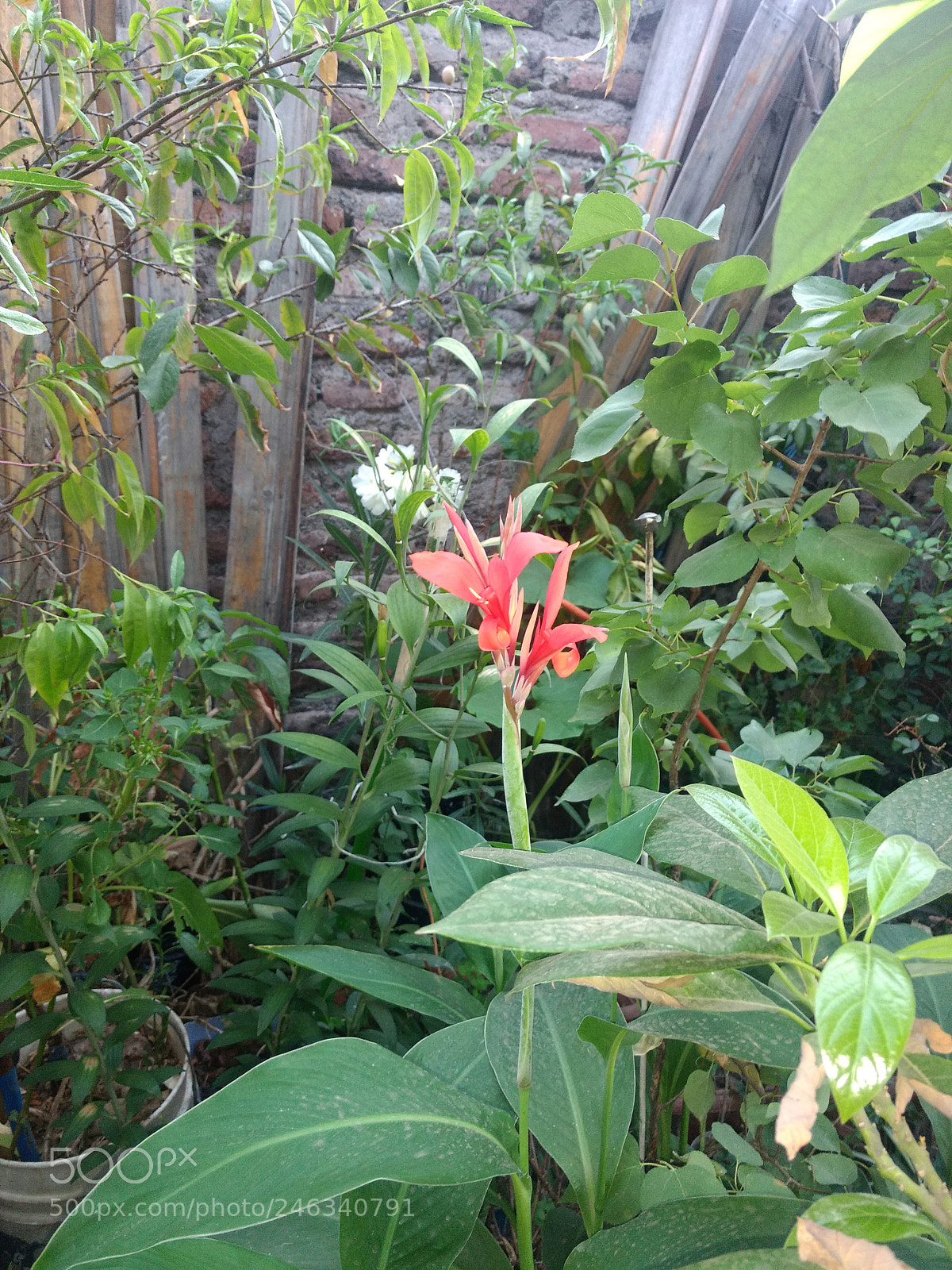Motorola Moto Z Play sample photo. Untitled photography