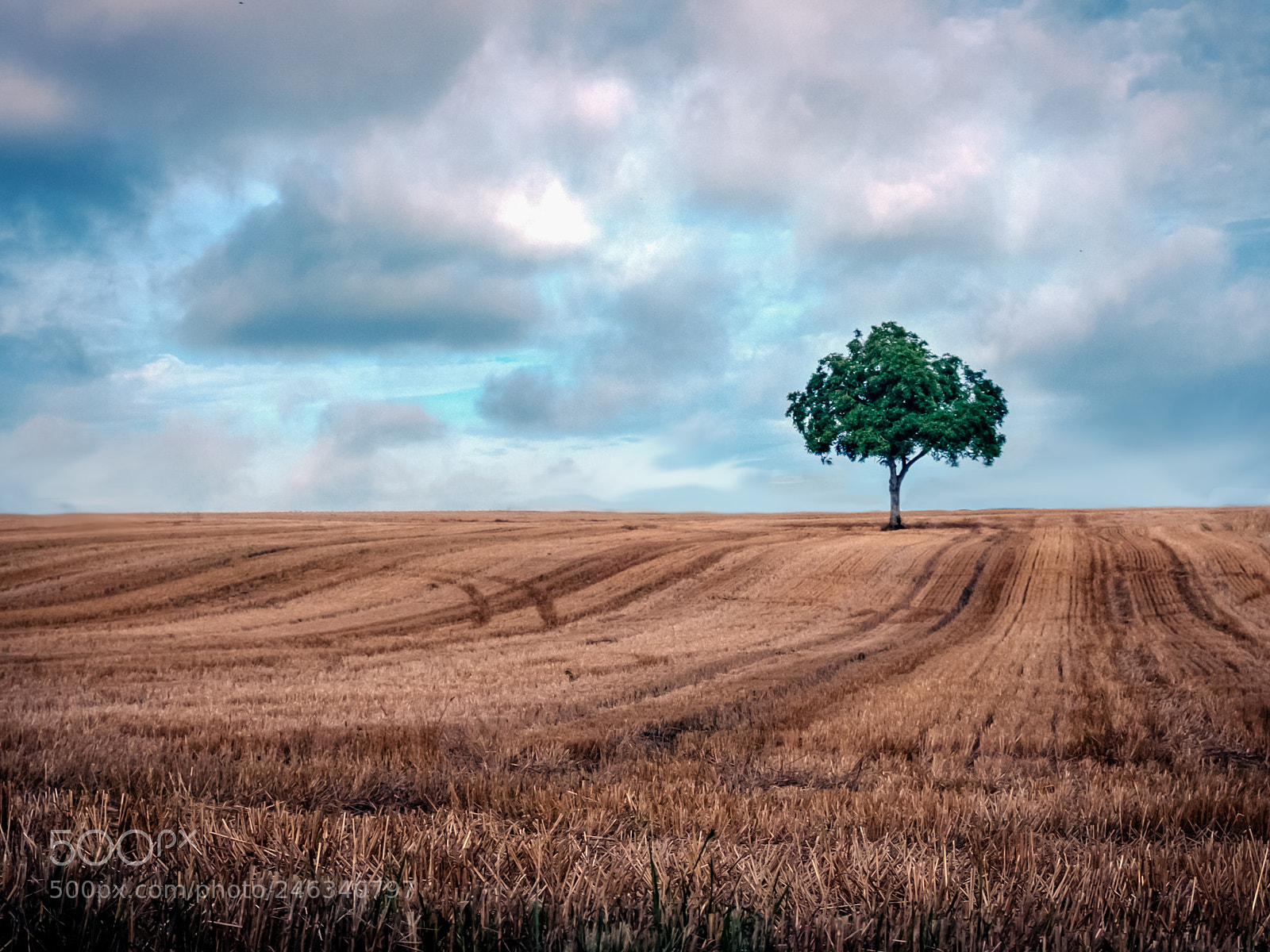 Fujifilm X100T sample photo. Summer fields photography