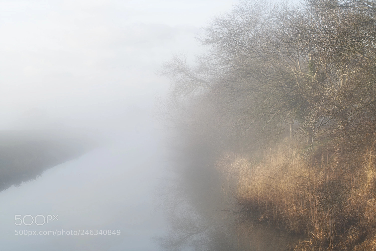 Sony a7R II sample photo. Dawn vale photography